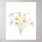 waterverf van witte kleine madeliefje poster (Voorkant)