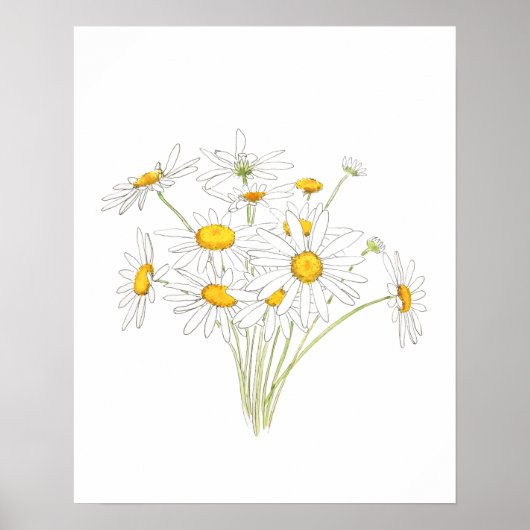 waterverf van witte kleine madeliefje poster (Voorkant)
