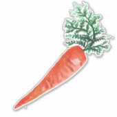 Waterverf van wortelwortelwortelen in cute carrot  sticker (Voorkant)