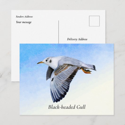 Waterverf van zeemleder briefkaart (Voorkant / Achterkant)