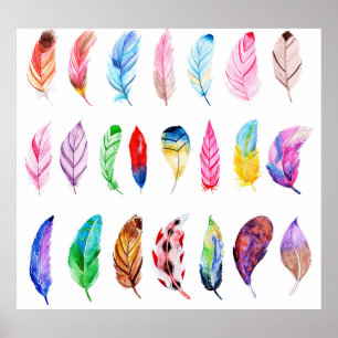 Waterverf veren: mooi Collecties Vintage. Poster