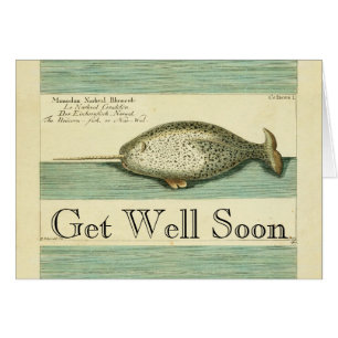 Waterverf verfschilderen van Narwhal Antiek walvis