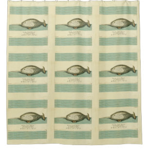 Waterverf verfschilderen van Narwhal Antiek walvis Douchegordijn