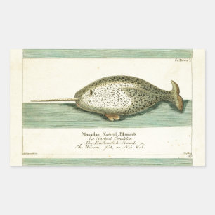 Waterverf verfschilderen van Narwhal Antiek walvis Rechthoekige Sticker