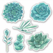 Waterverf vetplanten. Blauwe cactus. Blauwgroen ca Sticker (Voorkant)