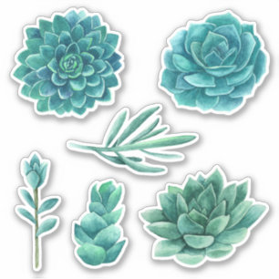 Waterverf vetplanten. Blauwe cactus. Blauwgroen ca Sticker