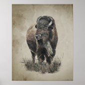 Waterverf vintage uitzicht Bizon Buffel Dier Kunst Poster (Voorkant)