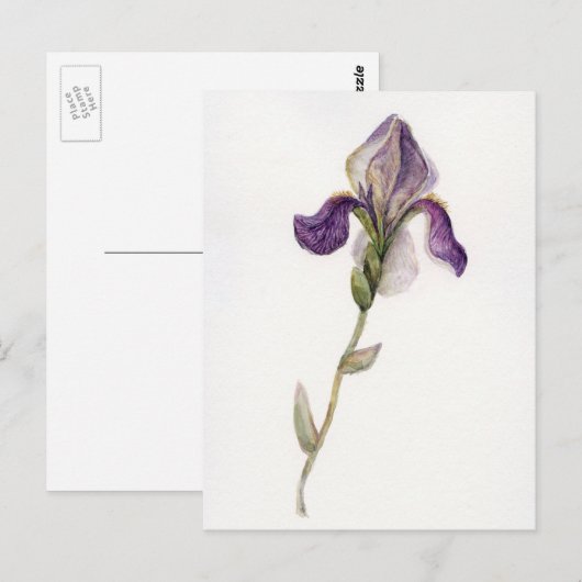 Waterverf violet Iris Briefkaart (Voorkant / Achterkant)