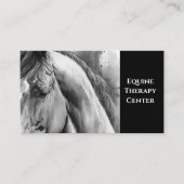 Waterverf Visitekaartjes van zwarte en witte paard (Voorkant)