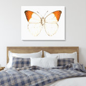 Waterverf vlinder, grote oranje tip canvas afdruk (Insitu (Slaapkamer))