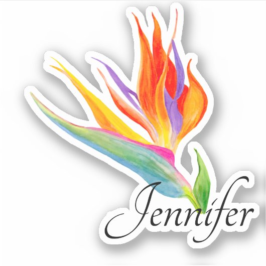 Waterverf vogel van de paradijsvogel sticker (Voorkant)