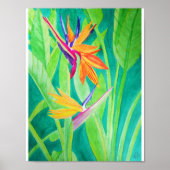 Waterverf Vogel van de Paradise Flowers Poster (Voorkant)