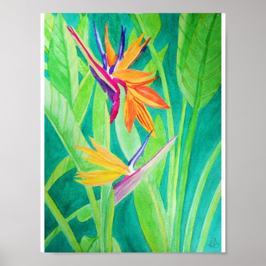 Waterverf Vogel van de Paradise Flowers Poster (Voorkant)