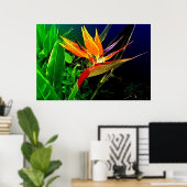 Waterverf vogelafdrukken poster (Thuiskantoor)