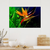 Waterverf vogelafdrukken poster (Keuken)