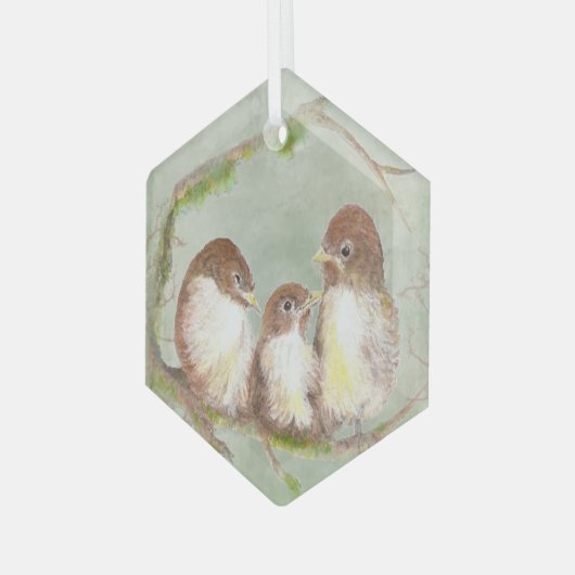 Waterverf Vogelfamilie Wildlife Art Glas Ornament (Voorkant links)