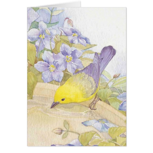 waterverf vogels (Voorkant)