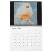 Waterverf Vogels Muurkalender 2026 Kalender (Jan 2026)