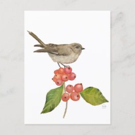 Waterverf vogels "Sylvia curruca" Feestdagenkaart