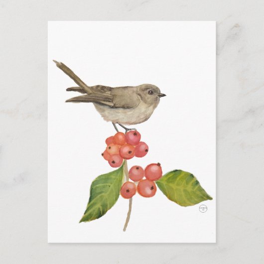 Waterverf vogels "Sylvia curruca" Feestdagenkaart (Voorkant)