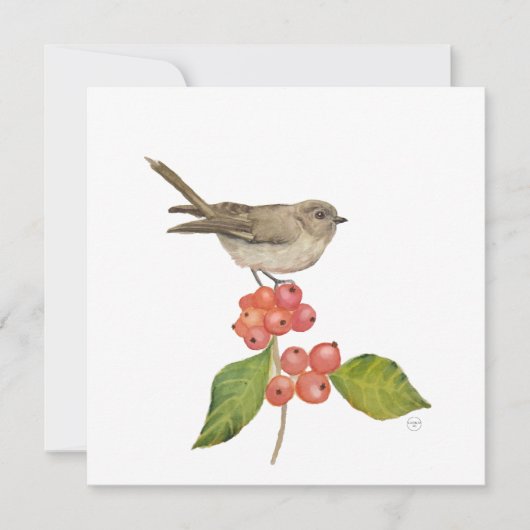 Waterverf vogels "Sylvia curruca" Feestdagenkaart (Voorkant)