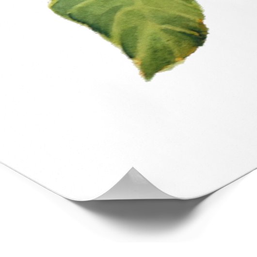 Waterverf vogels "Sylvia curruca" Poster (Hoek)