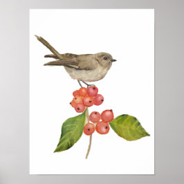 Waterverf vogels "Sylvia curruca" Poster