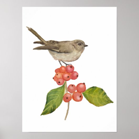 Waterverf vogels "Sylvia curruca" Poster (Voorkant)