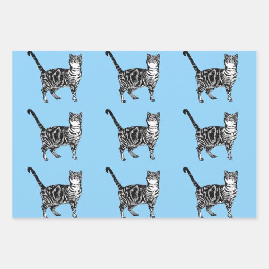 Waterverf voor ballonvaardige blauwe luchtballonva inpakpapier vel (Voorkant 2)