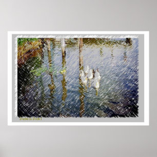 Waterverf voor eenden afdrukken poster