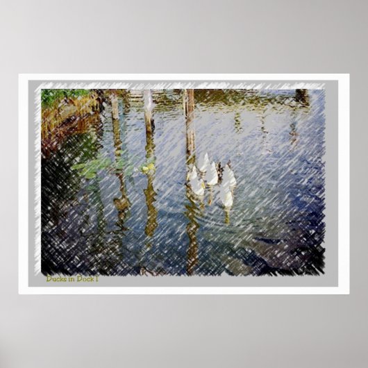 Waterverf voor eenden afdrukken poster (Voorkant)