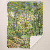 waterverf voor groefschilderingen op zijde sherpa deken (Voorkant)