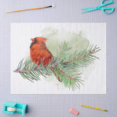 Waterverf voor kardinale en pijnbijkantoren tissuepapier (Craft)