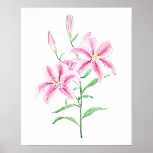 waterverf voor roze lippenbloem poster (Voorkant)