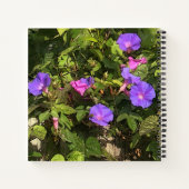 Waterverf voor spiraal Notitieboek Morning Glories (Achterkant)