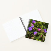 Waterverf voor spiraal Notitieboek Morning Glories (Binnen)