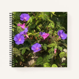 Waterverf voor spiraal Notitieboek Morning Glories