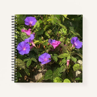 Waterverf voor spiraal Notitieboek Morning Glories
