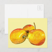 Waterverf vruchten met gele peren briefkaart (Voorkant / Achterkant)