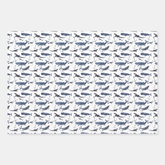 Waterverf-walvis en ankerpatroon inpakpapier vel (Voorkant)