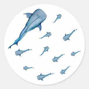 Waterverf walvishaai ronde sticker