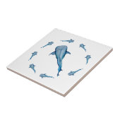 Waterverf walvishaai tegeltje (Zijkant)