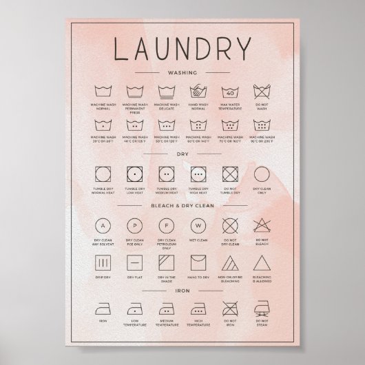 Waterverf washandleiding perziken poster (Voorkant)