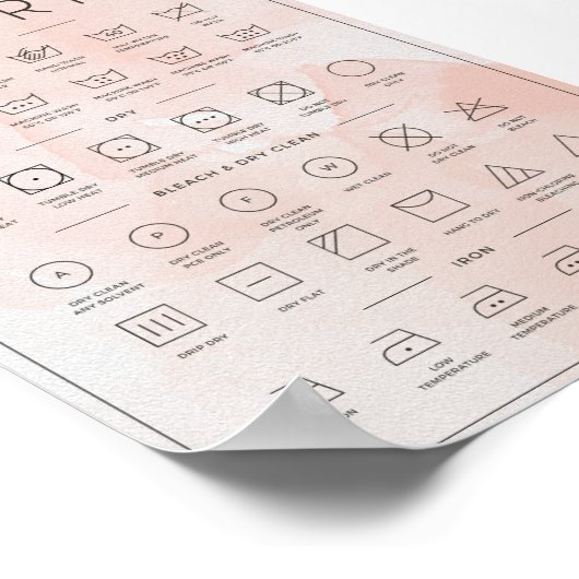 Waterverf washandleiding perziken poster (Hoek)