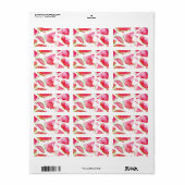 Waterverf Watermeloen 1 Etiket (Full Sheet)