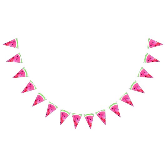 Waterverf Watermeloen Vlaggetjes (Alle)