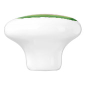 Waterverf Watermeloenschijf Keramische Knop (Zijkant)