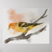 Waterverf Western Tanager Geel Vogeltak Poster (Voorkant)