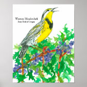Waterverf Westerne Meadowlark Bird Poster (Voorkant)
