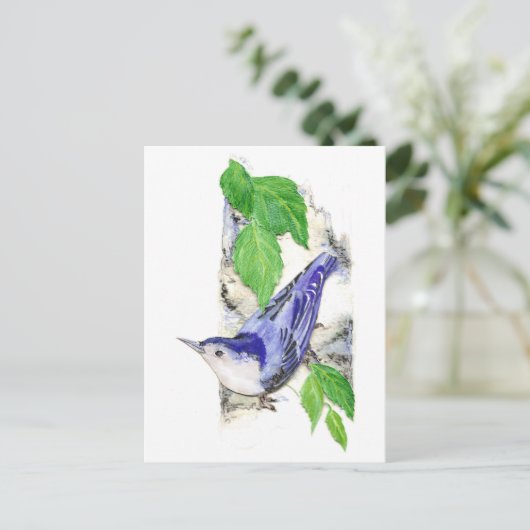 Waterverf White Breasted Nuthatch - Vogel Briefkaart (Staand voorkant)
